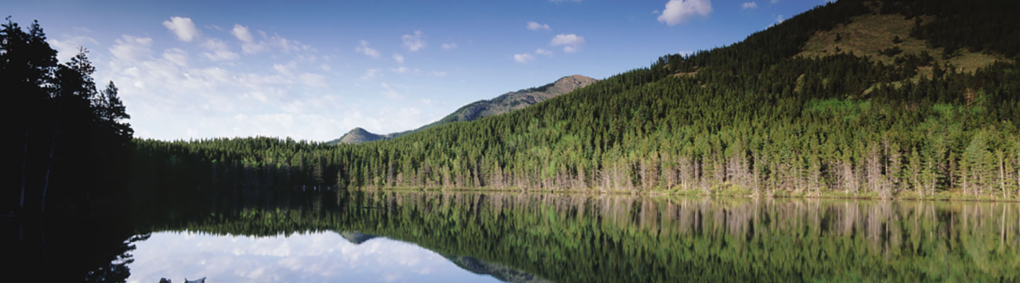 Reflet d’un paysage forestier dans un lac